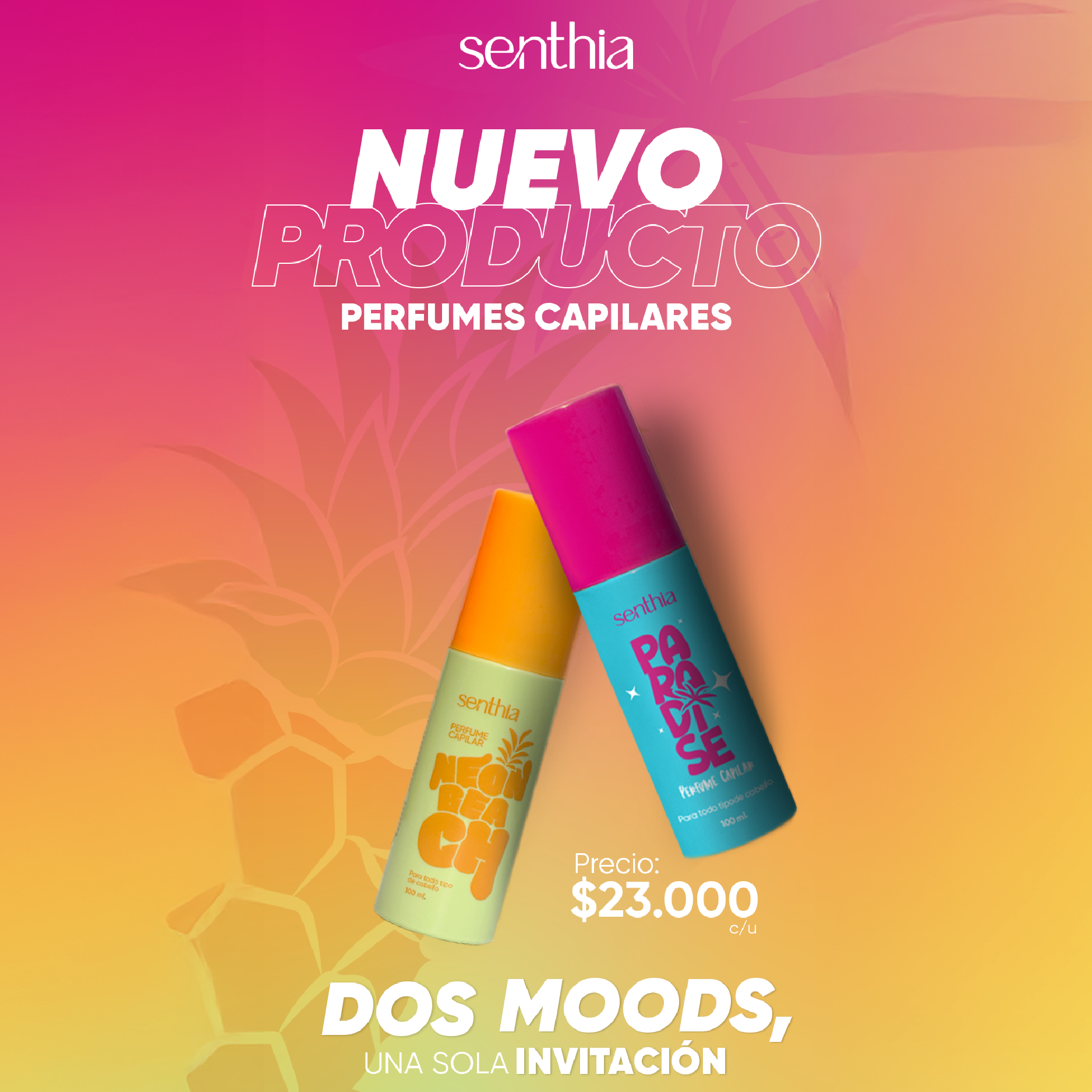 ¡ NUEVOS PRODUCTOS !
